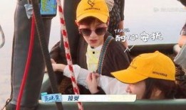 国产鸡情,探寻我国鸡肉产业的崛起之路