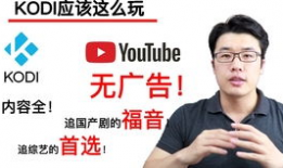 国产TUbe,引领科技潮流的创新力量