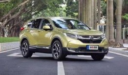 国产在线2019,回顾与展望，中国网络影视产业的崛起之路