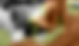 在线视频国产欧美,在线视频内容的风云变幻