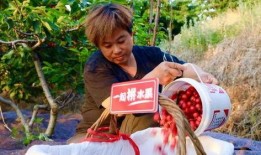 水莓100线在线观看国产,水莓100线，在线观看新体验