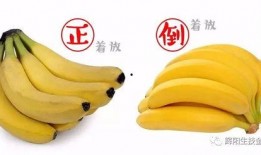 国产超级大香蕉,揭秘我国农业科技新成果