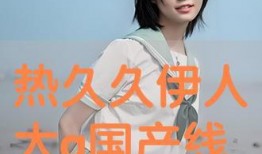 国产伊人视频,揭秘国产影视作品的魅力与风采