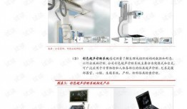 国产页5,探索中国网页设计的创新与魅力