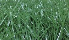 草国产,探寻自然与文化的交融之地