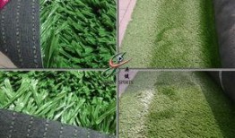 草国产,探寻自然与文化的交融之地